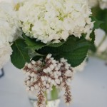 Simple White Flowers in Mason Jar